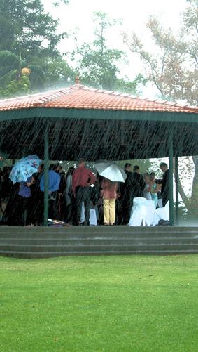 Nice Day for a White Wedding, WA.